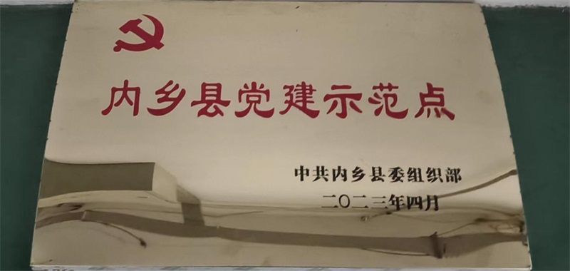 喜報(bào)！華?？萍极@評(píng)“內(nèi)鄉(xiāng)縣黨建示范點(diǎn)”