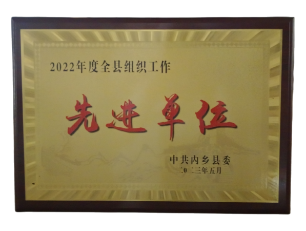 喜報(bào)！華?？萍紭s獲 內(nèi)鄉(xiāng)縣2022年度組織工作先進(jìn)單位